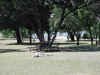 Campground