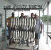 Company Outing at Lake Whitney Marina