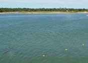 Lake Whitney Marina @ Juniper Cove