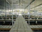 Covered wet slips at Lake Whitney Marina